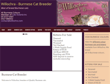 Tablet Screenshot of burmesecatbreeder.com